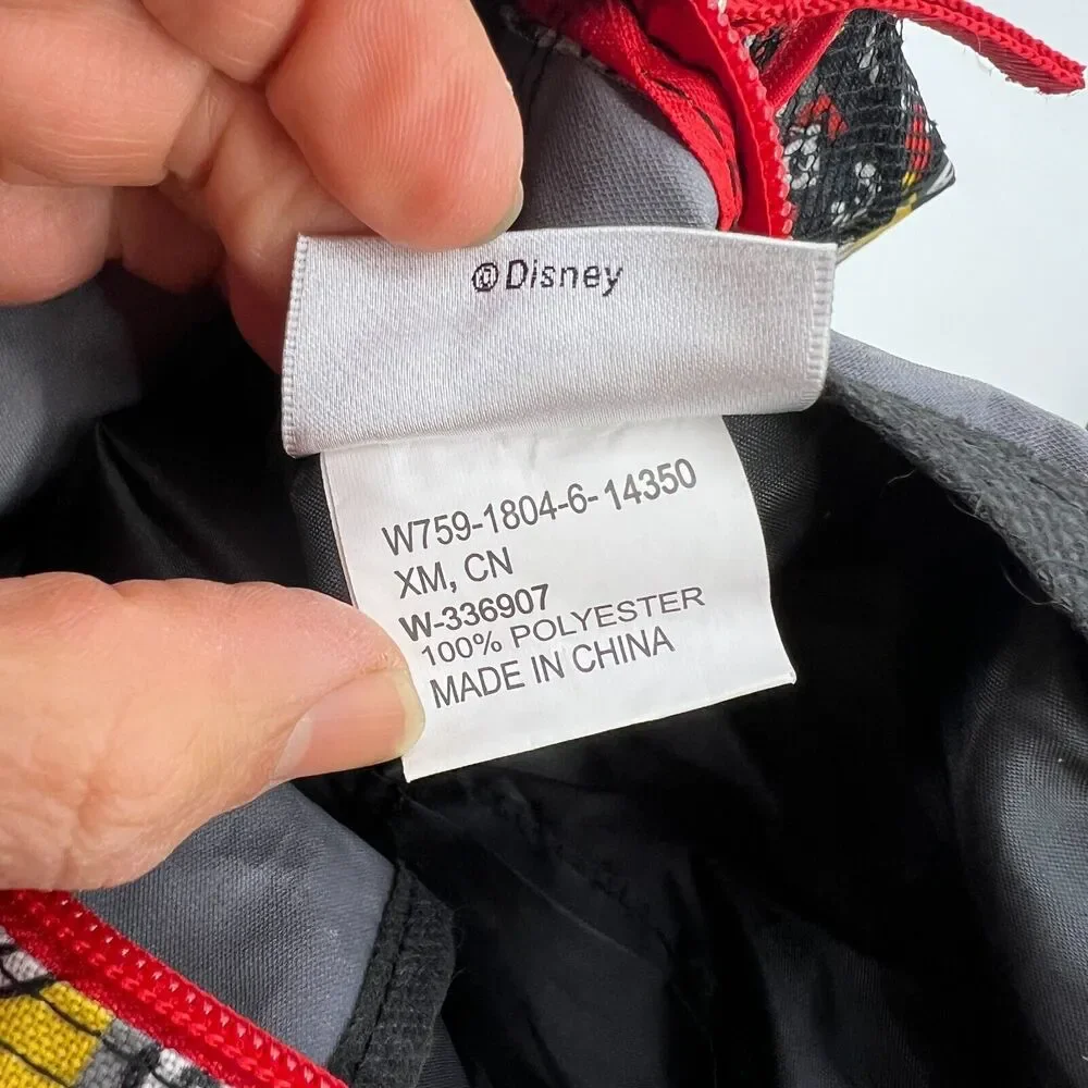 Disney mickey mouse